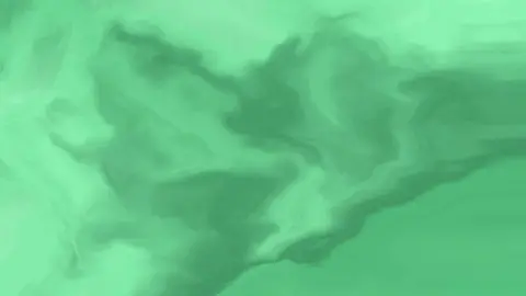 Preview of Jade (preset)