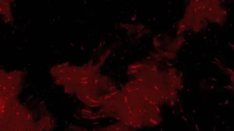 Preview of Lava Flow (preset)