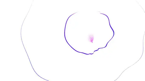Preview of Spectrum · sphere