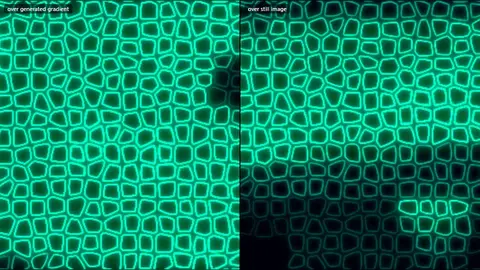 Preview of Stained Glass