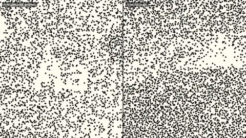 Preview of Stipple